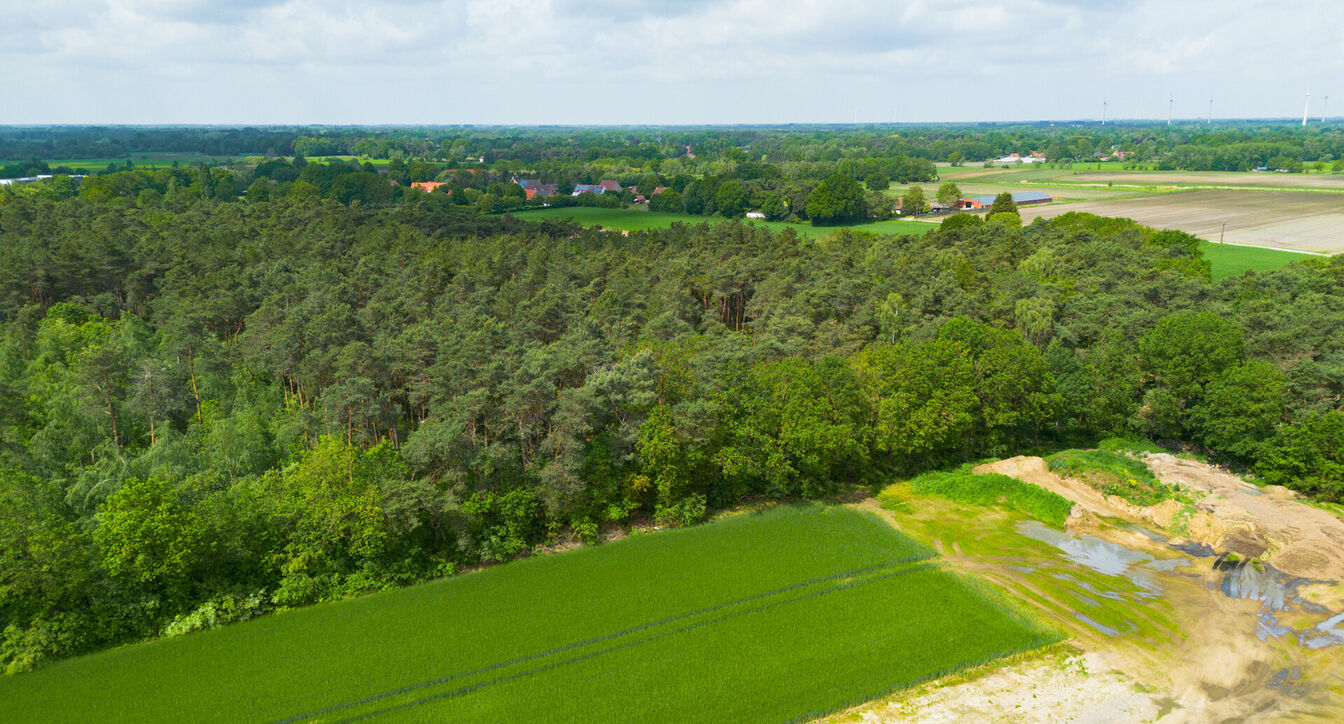 Bos te koop in Kasterlee