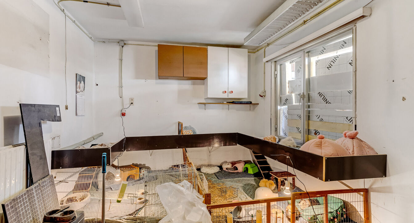 Bouwgrond (projecten) te koop in Vosselaar