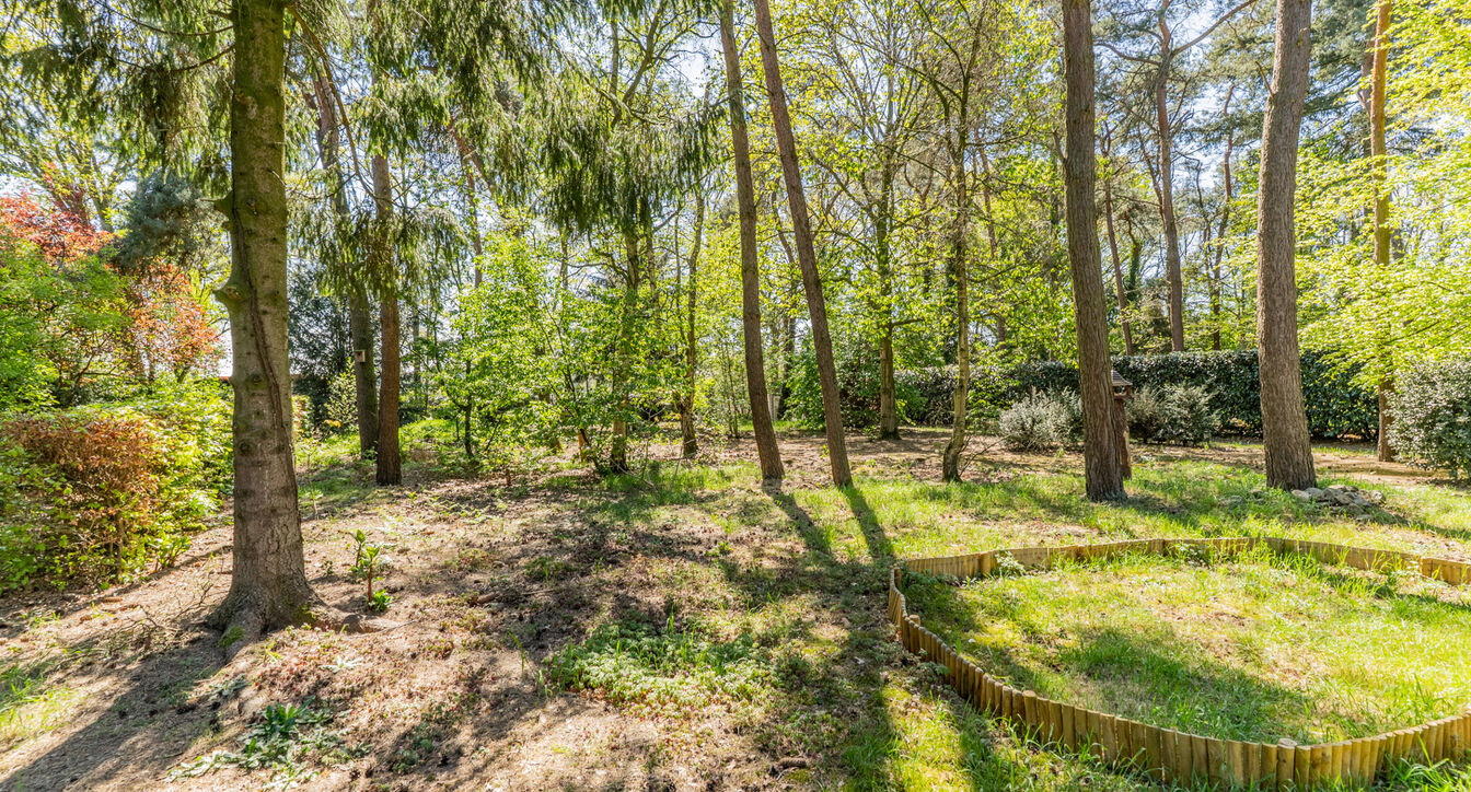 Chalet te koop in Kasterlee
