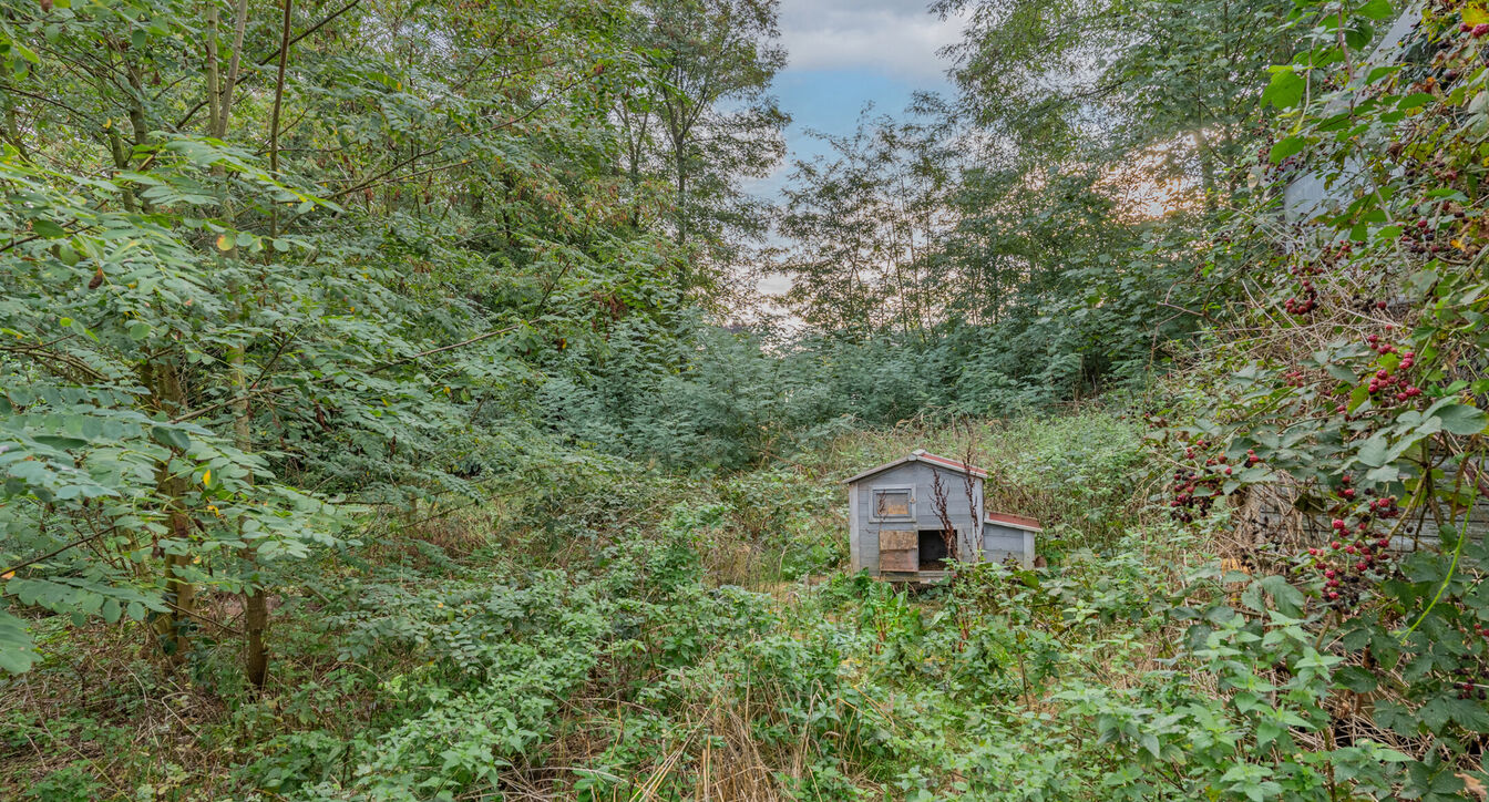 Eengezinswoning te koop in Retie