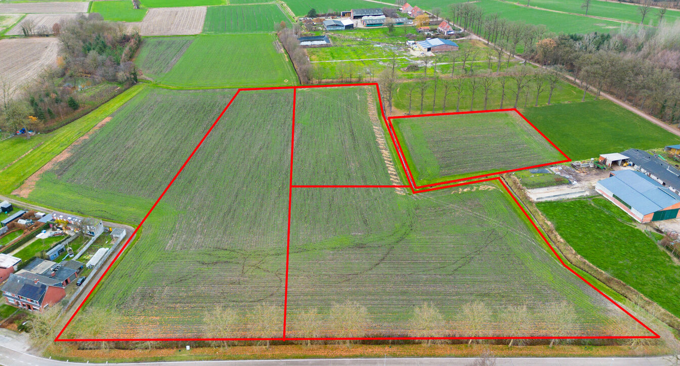Landbouwgrond te koop in Oud-Turnhout