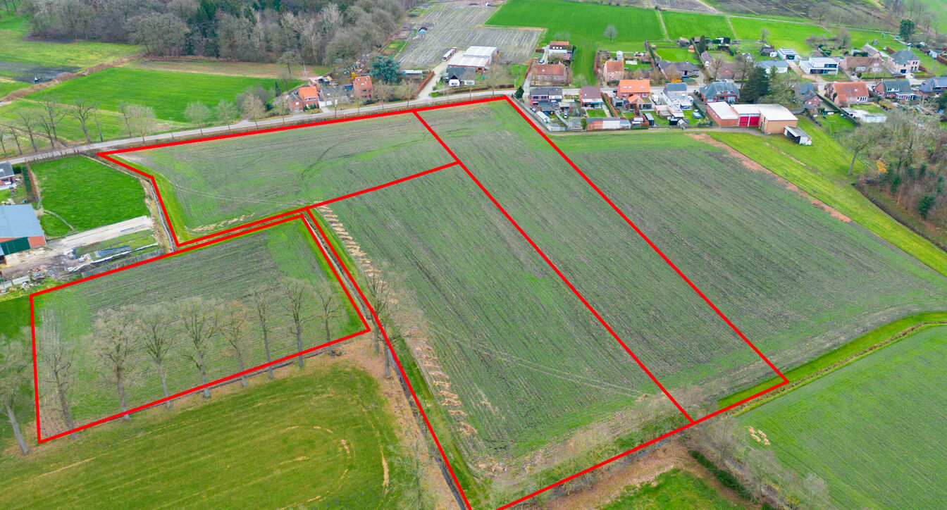 Landbouwgrond te koop in Oud-Turnhout