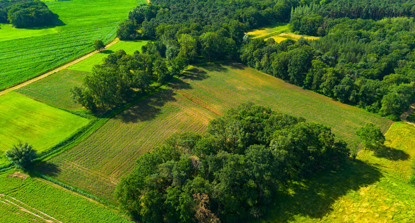 Landbouwgrond te koop in Oud-Turnhout