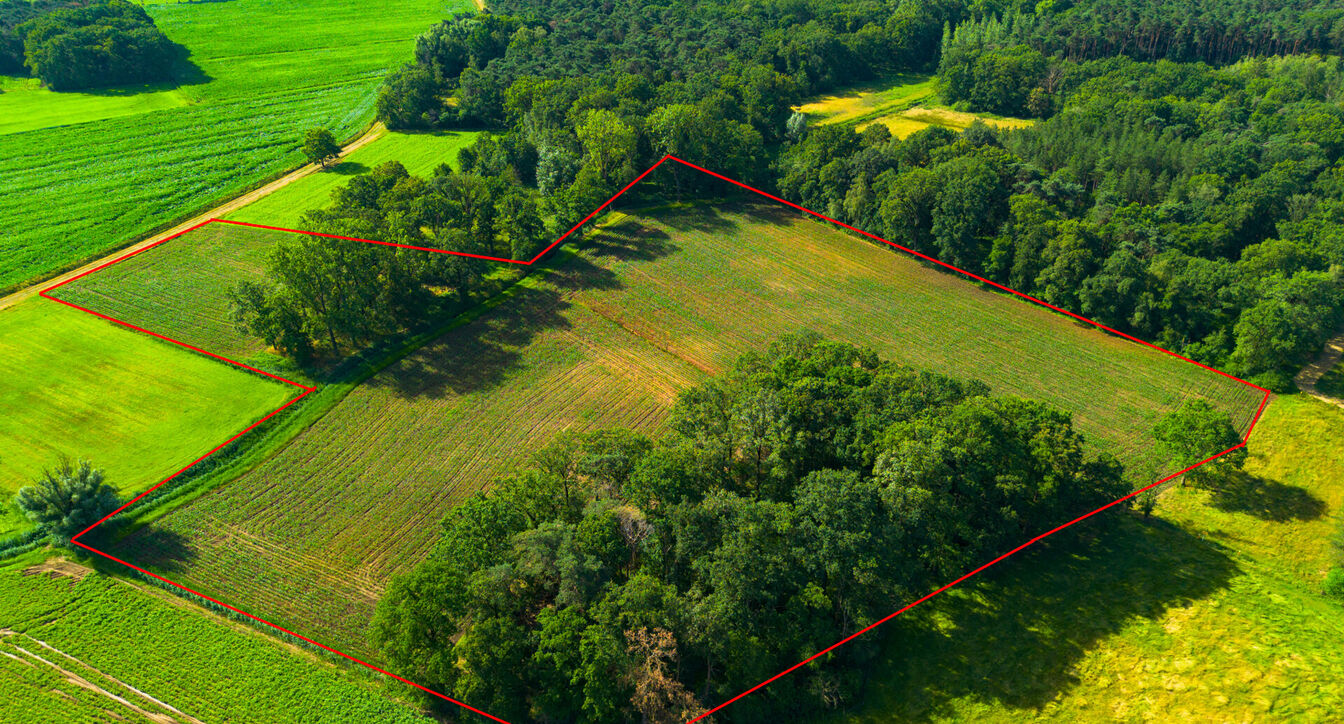 Landbouwgrond te koop in Oud-Turnhout
