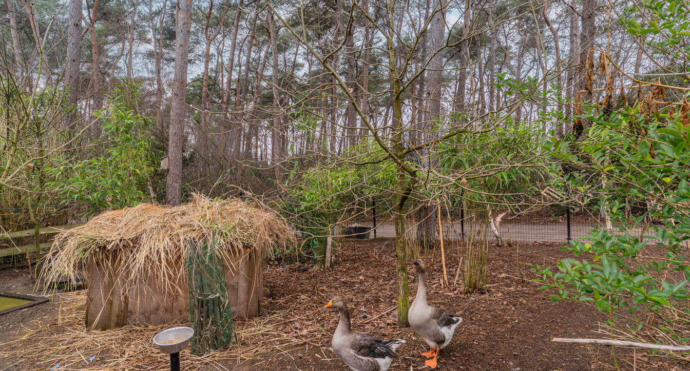 Vakantiewoning te koop in Retie