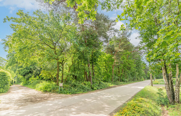 Bos te koop in Kasterlee