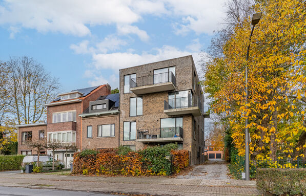 Gelijkvloerse verdieping te huur in Turnhout