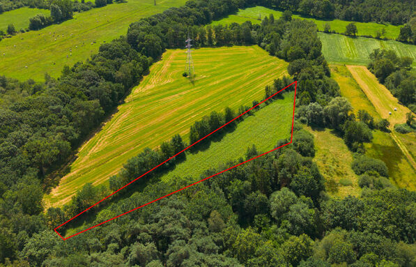 Landbouwgrond te koop in Geel