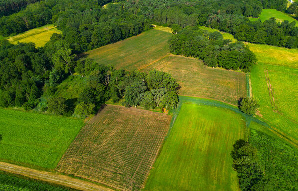 Landbouwgrond te koop in Oud-Turnhout